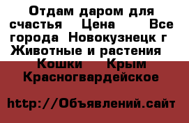 Отдам даром для счастья. › Цена ­ 1 - Все города, Новокузнецк г. Животные и растения » Кошки   . Крым,Красногвардейское